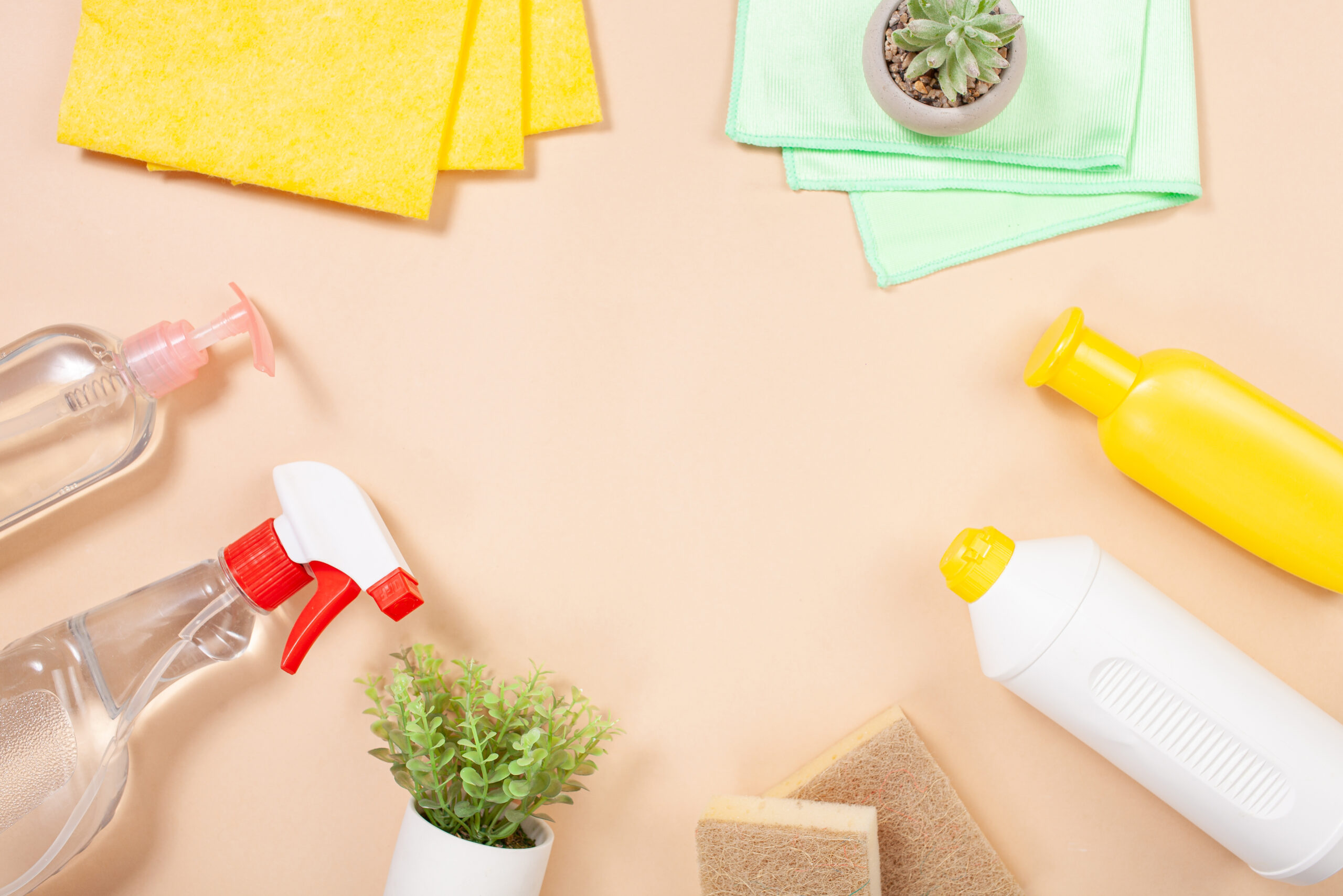 Eco-friendly clean, cleaning products in the house. Green plants, spray, gel, sponges, wash cloths for glass and mirrors without chemistry copy space