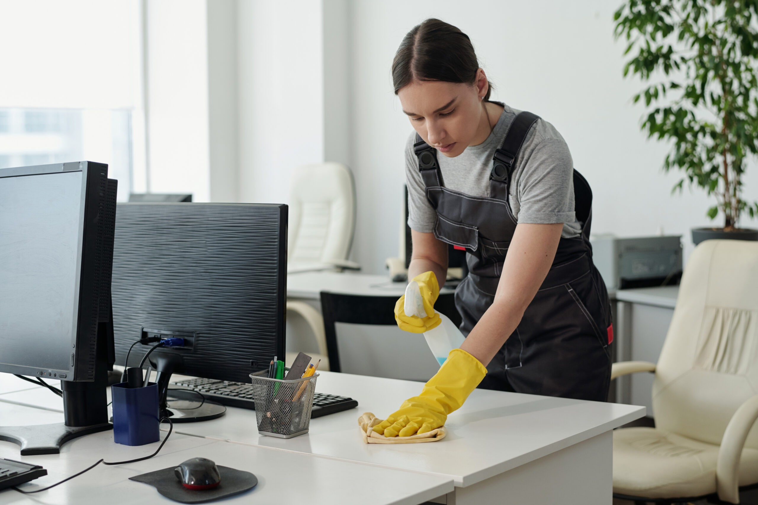 Young female staff of cleaning service company with plastic bottle of detergent wiping desk with duster in openspace office